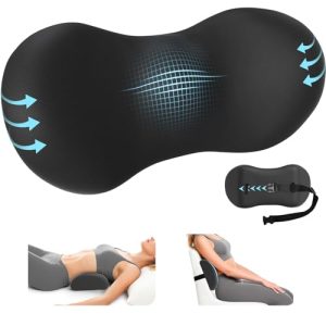 best ergonomic back support for office chair