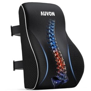 best office chair for lower back problems