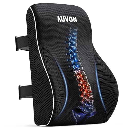 best office chair for lower back problems