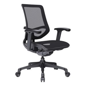 best ergonomic office chair under 1000