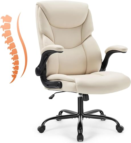 best ergonomic stylish office chair