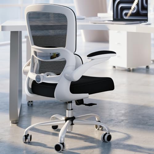 best ergonomic office chair with adjustable lumbar support