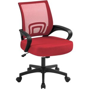best ergonomic office chair under 300 reddit