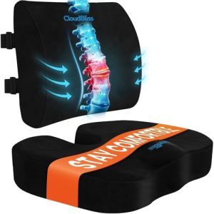 best office chair cushion for back pain