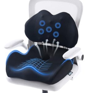best office chair cushions for lower back pain