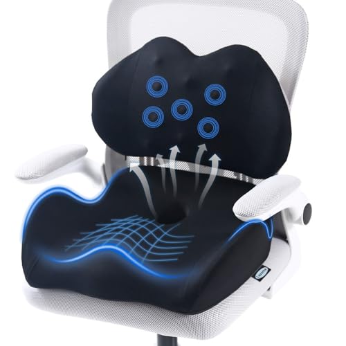 best office chair cushions for lower back pain