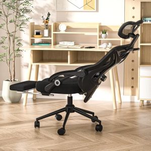 best office chair ergonomics