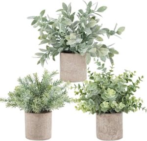 best plants for home office
