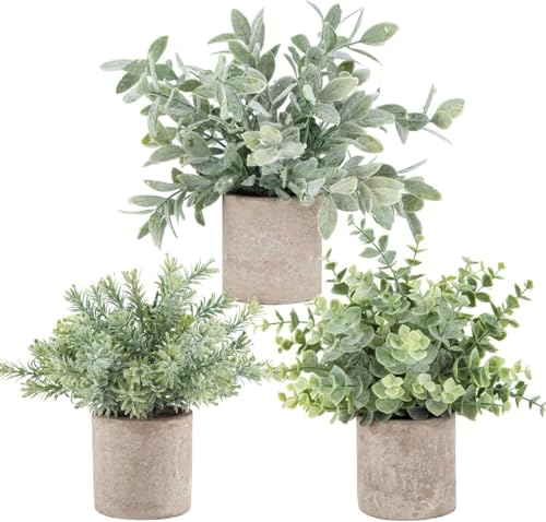 best plants for home office