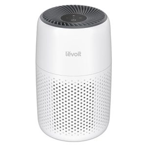 best air purifier for home office