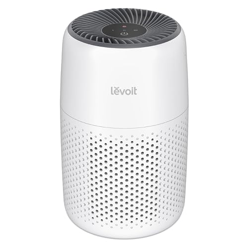 best air purifier for home office