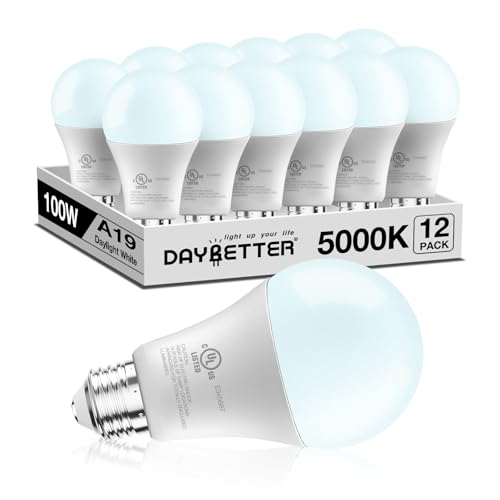 best bulb for home office